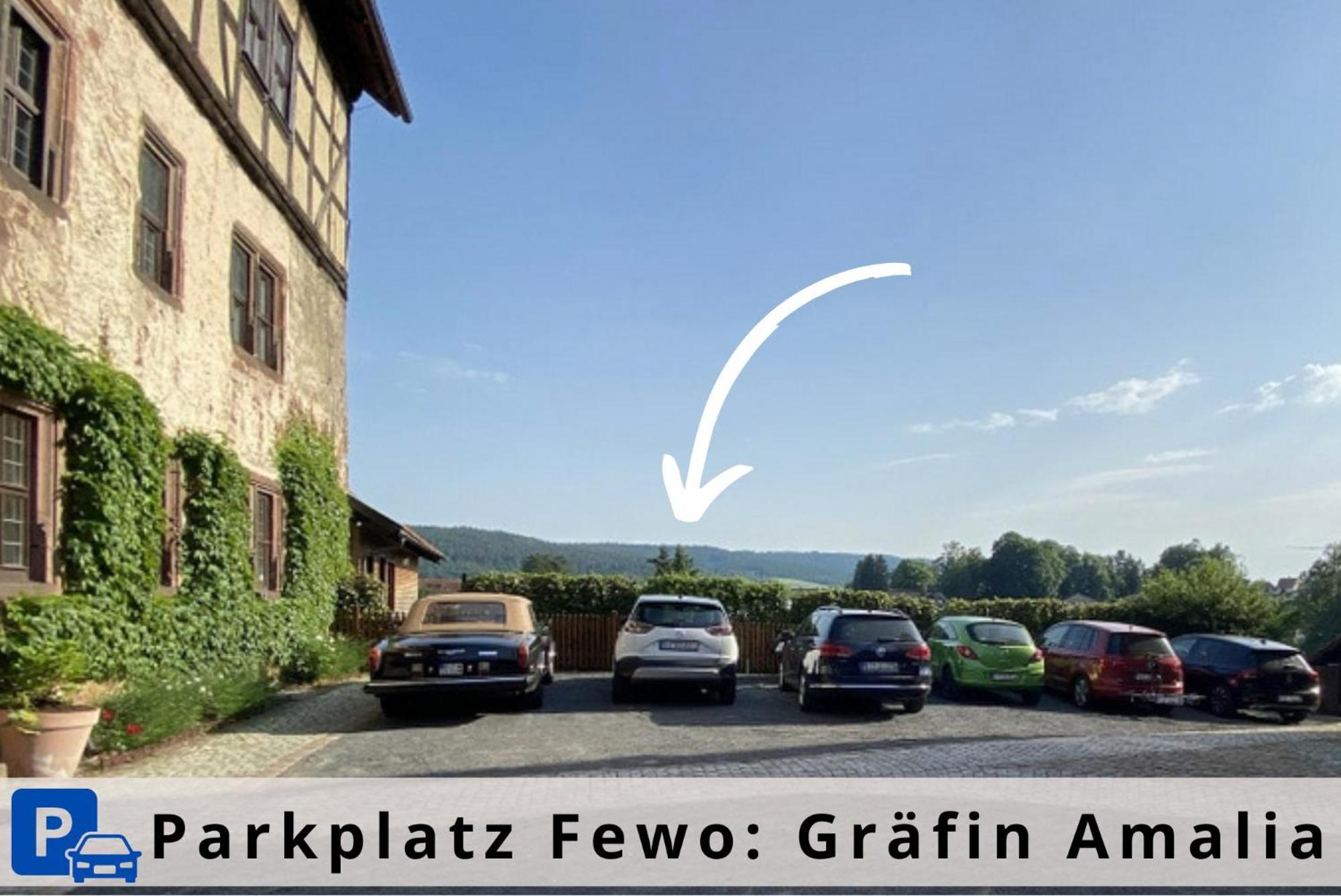 Graefin Amalia - Elegantes Apartment In Der Historischen Hinterburg In Schlitz, 2 Schlafzimmer, Mit Garten, Nahe Fulda Und Bad Hersfeld מראה חיצוני תמונה